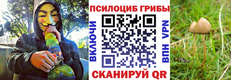 Псилоцибиновые грибы ЛСД  Пущино 